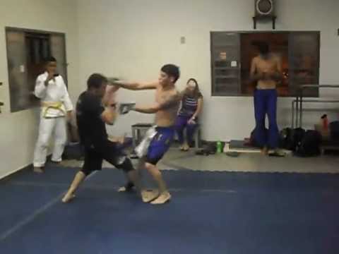 ligth mma renatinho 2