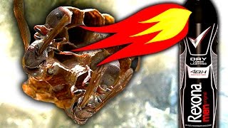 How To Kill Wasps &amp; Nest Flames Non Chemical Pest Control