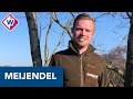 Dieren sterven pijnlijke dood door afval naast afvalbak in druk Meijendel