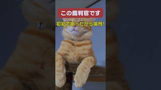 【裁判官】要チェックや!! #政治