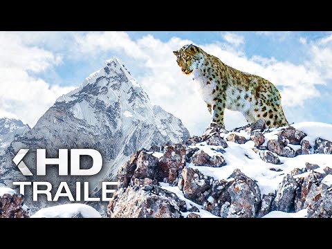 DER SCHNEELEOPARD Trailer German Deutsch (2022) Exklusiv