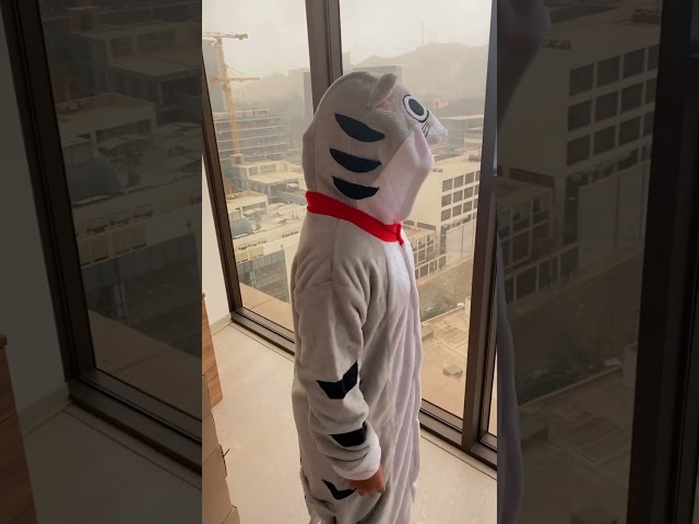 Vídeo relacionado con wotogold Pijamas de Rick Azul Animal Trajes de Cosplay Adultos Unisex Blue