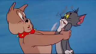 Tom and Jerry - Ayah Memang yang Terbaik(Tops with Pops, bahasa indonesia sub)