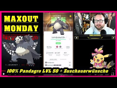 MAXOUT MONDAY : 100% Pandagro LVL 50 + Zuschauerwünsche | Pokémon GO Deutsch # 1993