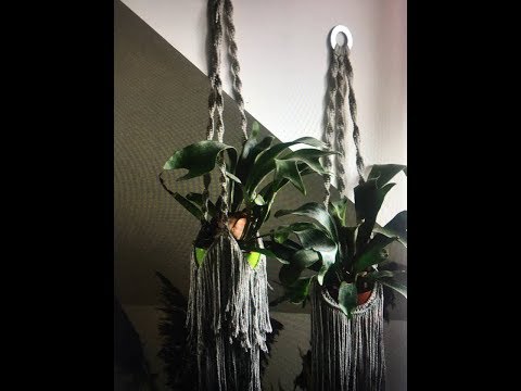 Jak reanimować łosie rogi. Naturalny nawóz do paproci