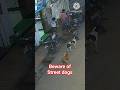 BEWARE OF STREET DOGS  #streetdogs #dangerzone  #unexpectedmoments #youtubeshorts #shortvidioes