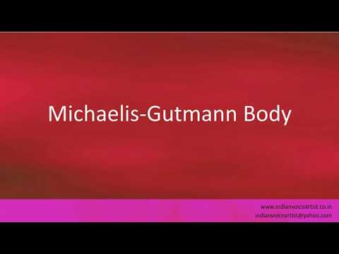 Pronunciation of the word(s) "Michaelis-Gutmann Body".