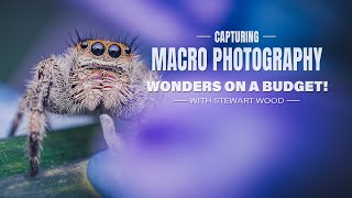 Capturing Macro Photography Wonders on a Budget!