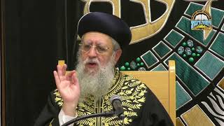 מדוע פוסקים כ'מגן אברהם' אפילו נגד הרמ＂א I מרן הראשון לציון הגאון רבי דוד יוסף שליט＂א  שבט תשפ"ו (רבנים שונים) - התמונה מוצגת ישירות מתוך אתר האינטרנט יוטיוב. זכויות היוצרים בתמונה שייכות ליוצרה. קישור קרדיט למקור התוכן נמצא בתוך דף הסרטון