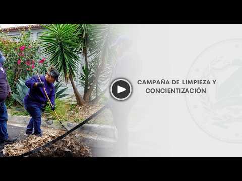 Alcaldía de San Salvador Centro realizó campaña de limpieza en la colonia Loma Linda