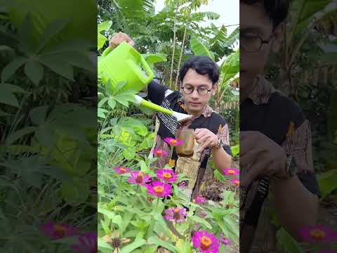 tangga-di-tanggal-tua-1