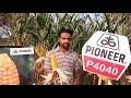 Farmer Views About Corn Seed P4040