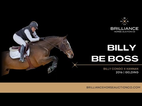 Billy Be Boss - Star Of The Future, Hickstead 2022