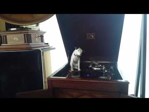 Betty Curtis & Johnny Dorelli (べティ・クルティス & ジョニー・ドレルリ) ♪Carolina Dai !...♪1961年 78rpm record イタリア・カン