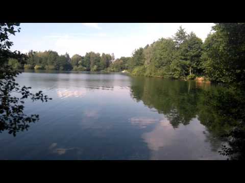 Mit dem Seil ins Wasser springen (Max Jordan See)