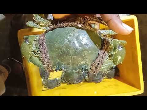 tamilkalacharm selvakumar