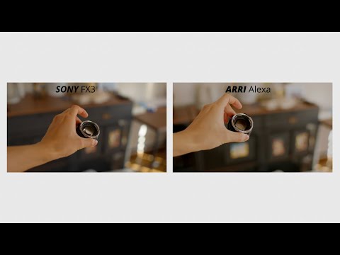 Sigma fp vs ARRI Alexa Mini LF | Image comparison