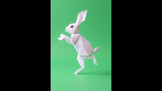 うさぎ🐇🐇🐇🐇🐇🐇🐇🐇🐇