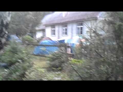 Seitsmene äratus meiustes