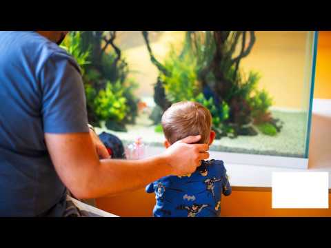 KU64 - die außergewöhnliche Kinderzahnarztpraxis