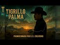 El Centenario - Tigrillo Palma (En Vivo)