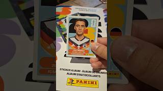 Germany hasn't been the same since 2014 #worldcup #paniniamerica