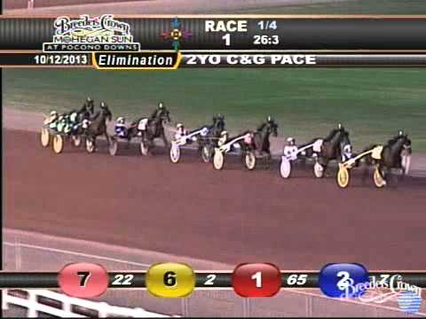 Somestarsomewhere - 2013 Breeders Crown Elimination - Two-Year-Old Pacing Colts & Geldings
