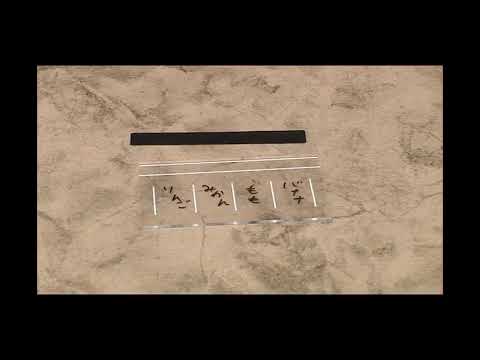 Saturn Magic - Psycho Gravity by Tenyo - Trick