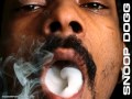 SNOOP DOGG - SPECIAL feat. Brandy and Pharrell