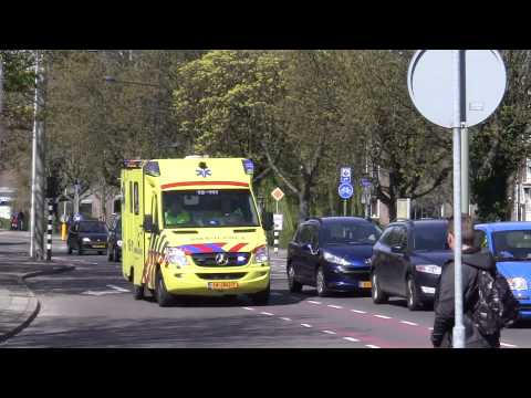 A1 2625PC 116 RAAD VAN EUROPALAAN 116 DELFT (DE) Rit: 28000 Vtg: 15111