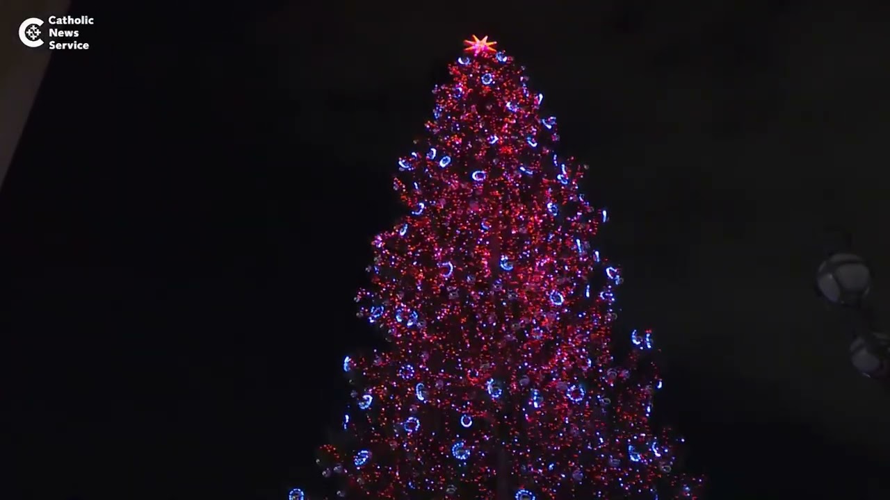 Vatican unveils Nativity scene, lights tree