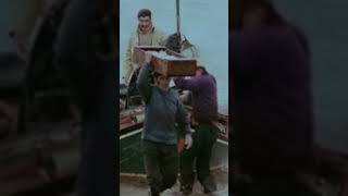 Os Índios da Meia Praia - Zeca Afonso