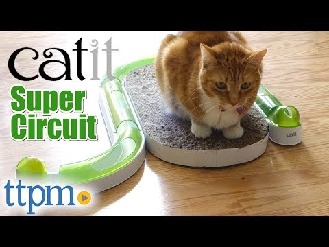 download lagu mp3 mp4 Catit Senses 2 0 Wave Circuit Cat Toy, download lagu Catit Senses 2 0 Wave Circuit Cat Toy gratis, unduh video klip Catit Senses 2 0 Wave Circuit Cat Toy