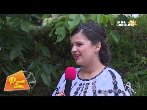 Ina Todoran   POVESTE CU CANTEC