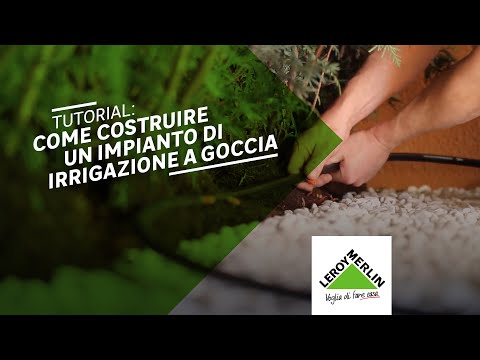 Massaggio prostatico versatile Come è prostata