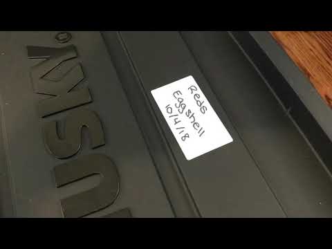 Experiment Sand vs. Eggshell: Week 1 Update