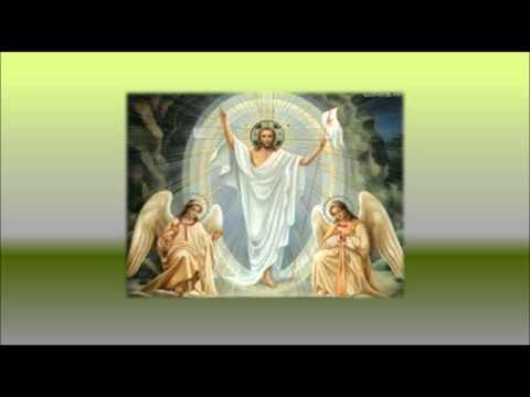 Este É o Hino do Povo de Deus - Católica