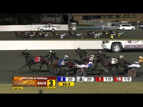 Meadowlands November 29, 2014 - Race 3 - Journeyman