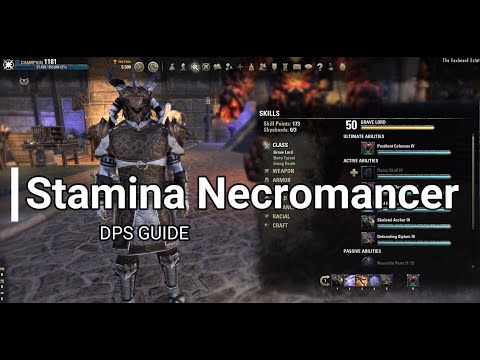 ESO - Stamina Necromancer PvE Guide - 107k DPS - Static Rotations - Scalebreaker DLC