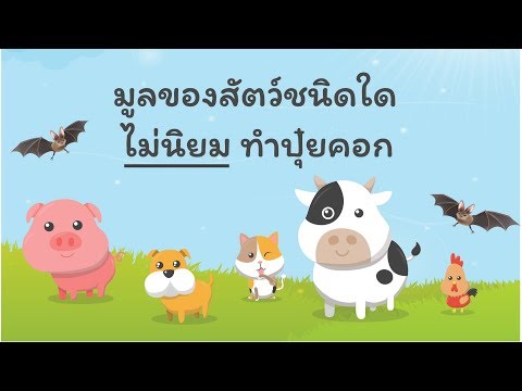 คลิกเพื่อดูคลิปวิดีโอ