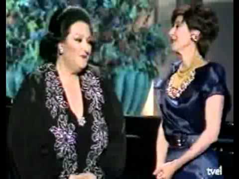 humorous duet for two cats