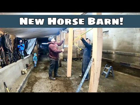 A New Barn for the Horses?!?!! A Family Renovation Project 🔨💪