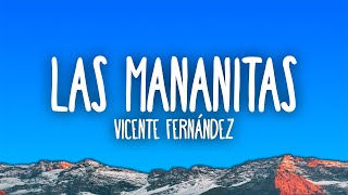 Vicente Fernández - Las Mañanitas
