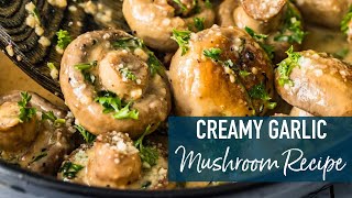 Creamy Butter Garlic Mushrooms!