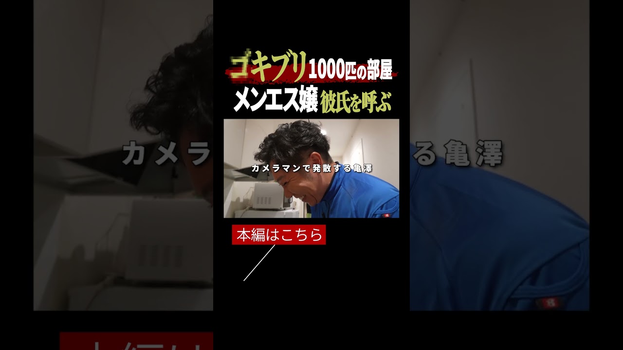 【閲覧注意】大阪メンエス嬢宅でゴキブリ大量発生！プロが限界!? 絶叫した衝撃現場｜ゴミ屋敷清掃 vol.16　#ゴミ屋敷 #ゴキブリ #片付けられない