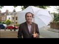 ray davies stand up