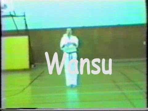 Wansu – Sensei Joe Hageman