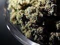 KQED NEWSROOM State Sen Leland Yee Indicted Weed Land And Poking Fun At Silicon Valley