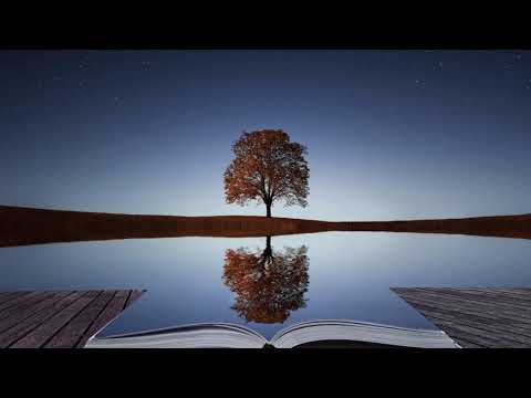 Faran Ensemble - Reflection (Matija's Voyage To Faraway Lands Homage)