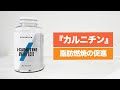 【3分間サプリ講座】『カルニチン』の摂取量・タイミング・脂肪燃焼効果について
